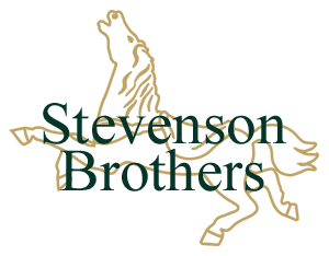 STEVENSON BROTHERS ROCKING HORSES