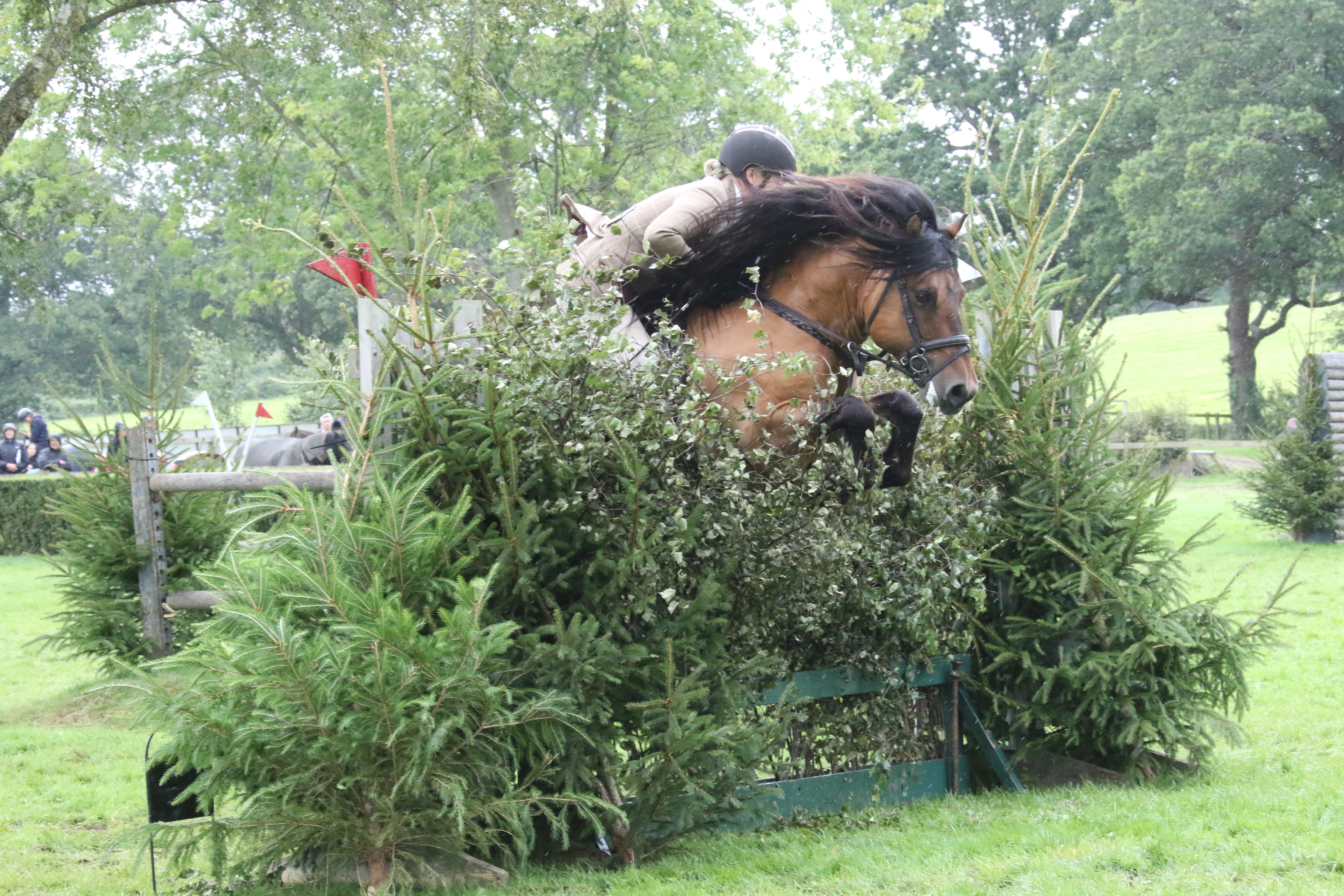 Highland Pony Society Judges’ Seminar