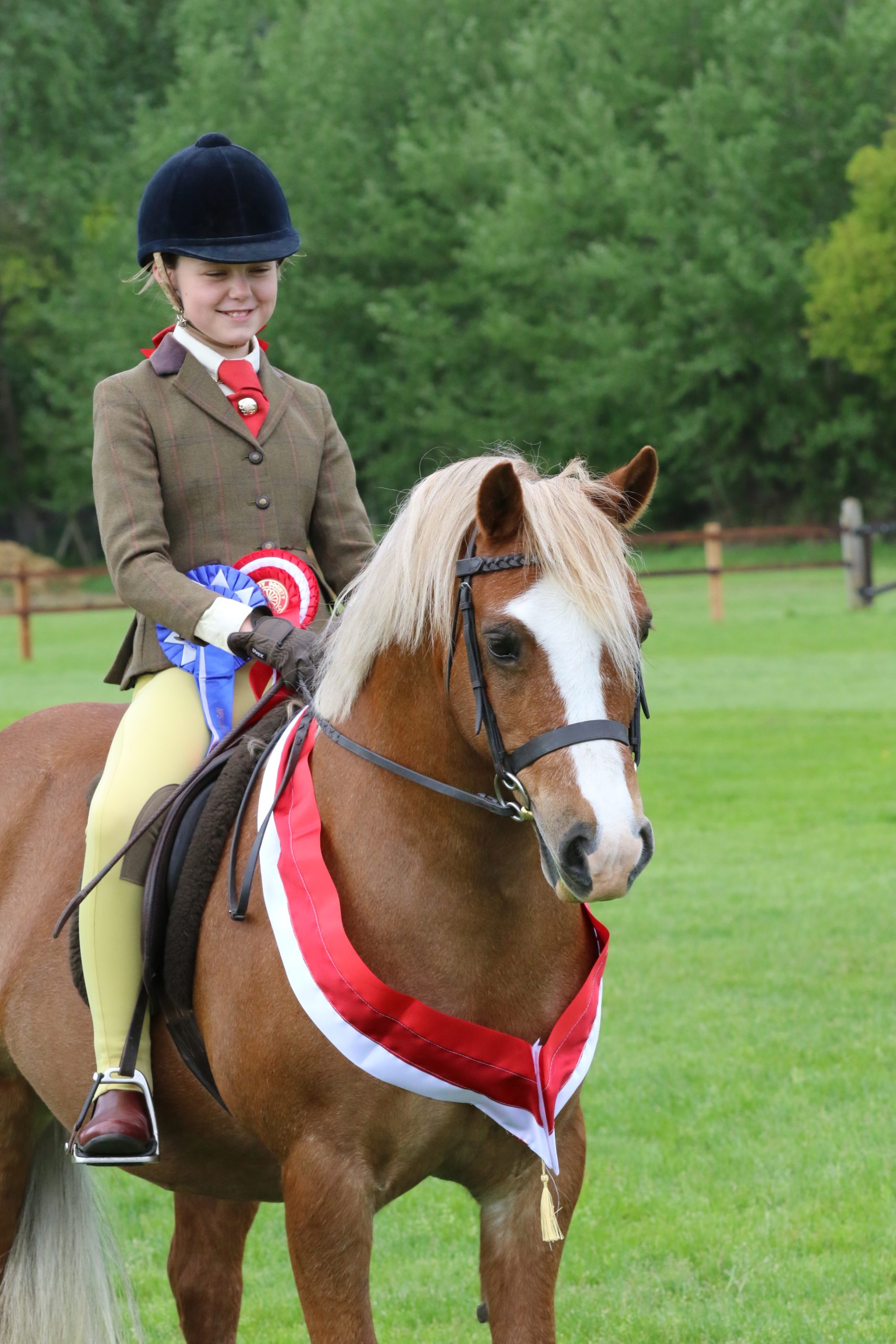 NEWDALE STUD