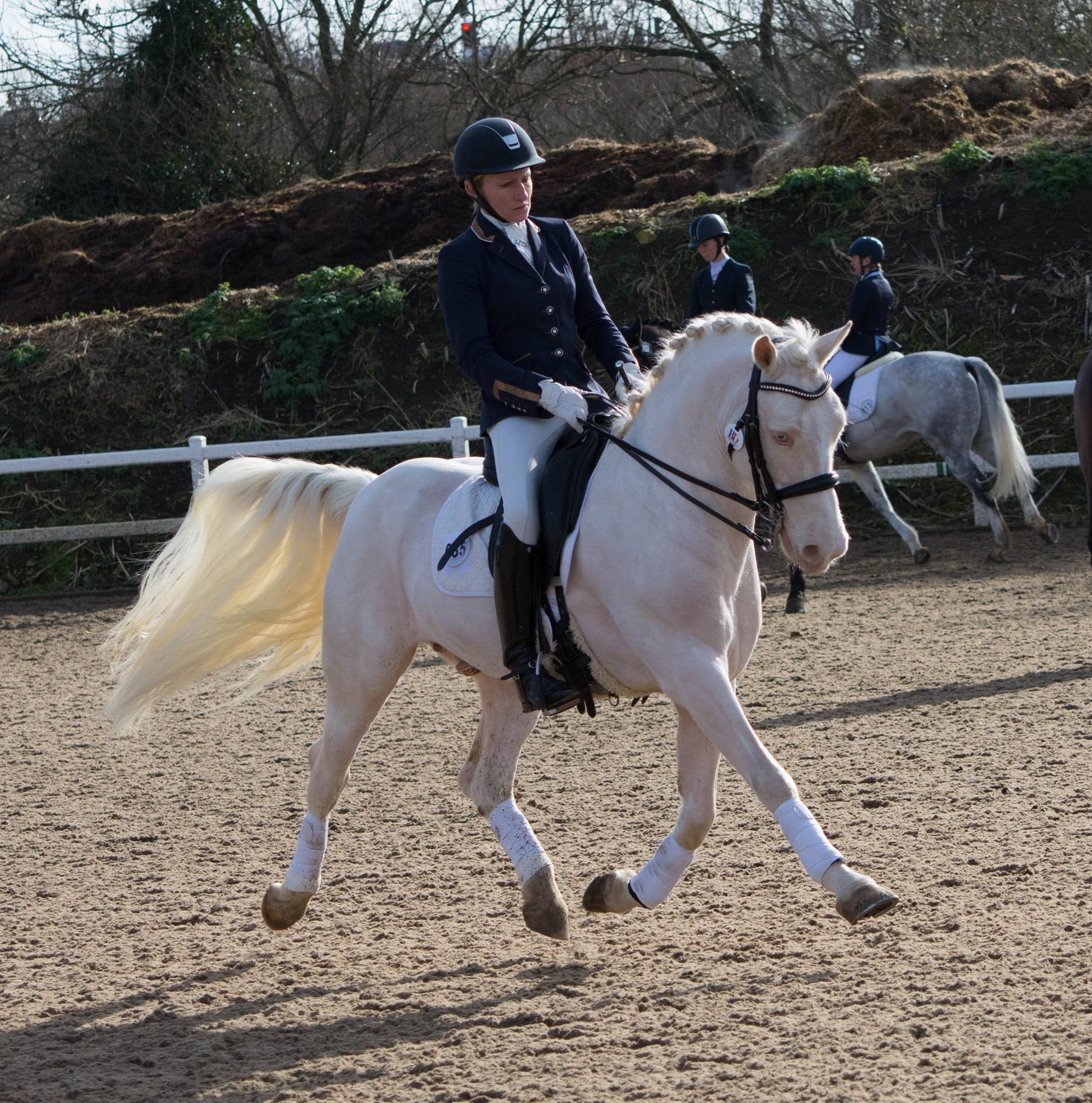 Four Seasons Stud