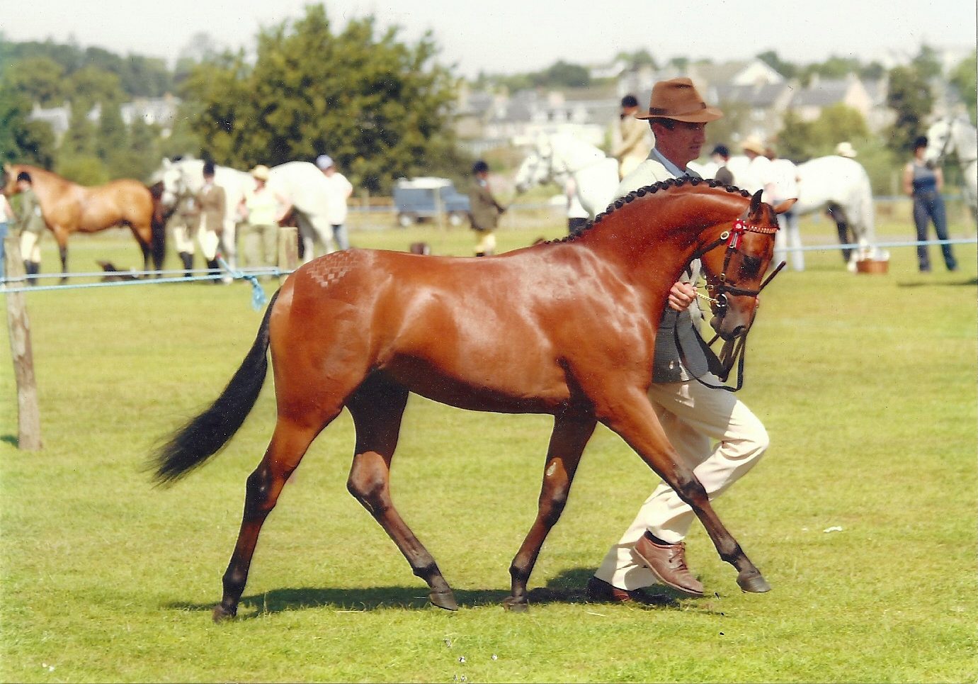 Deanhills Royal Jubilee