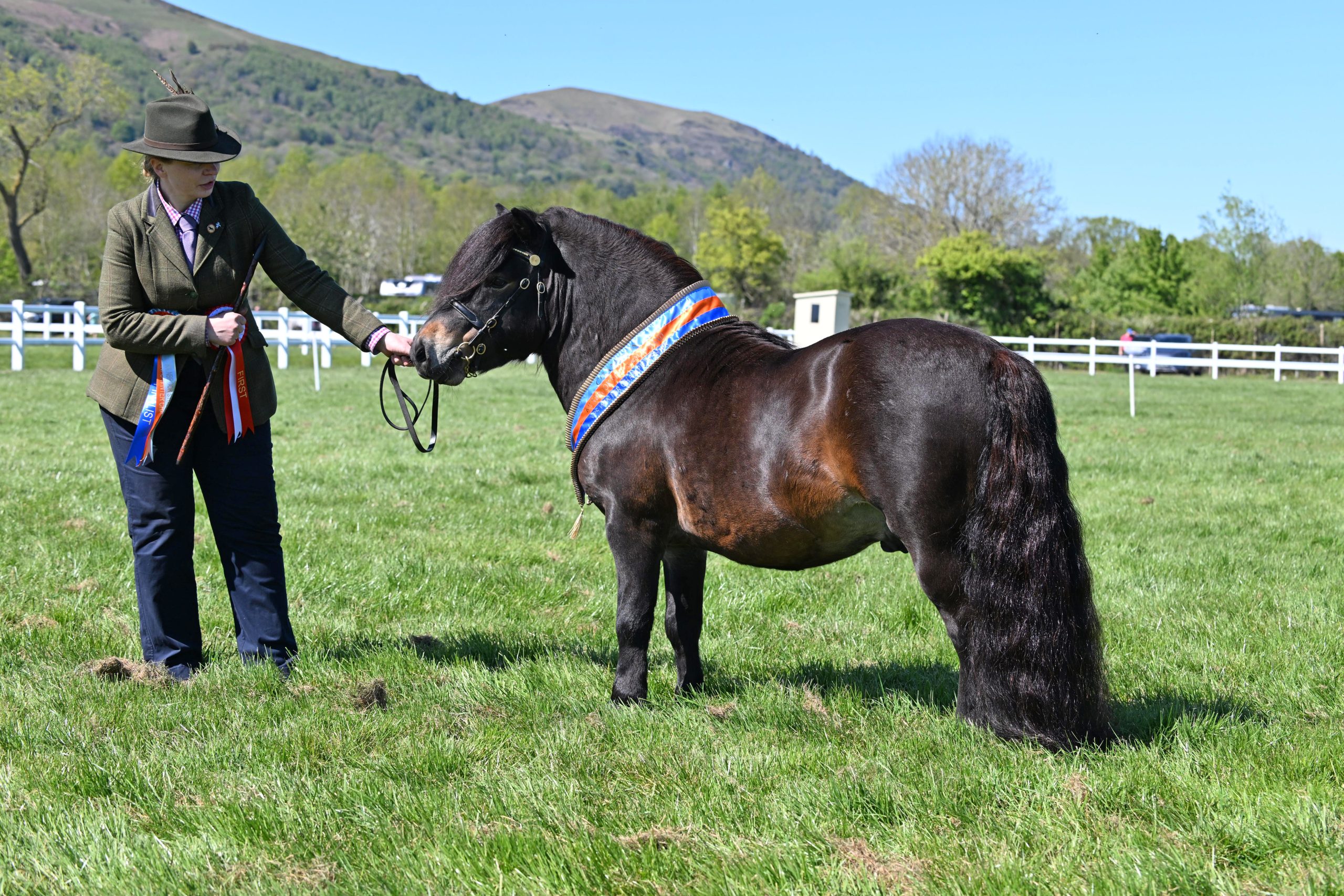 KILNBROOK STUD