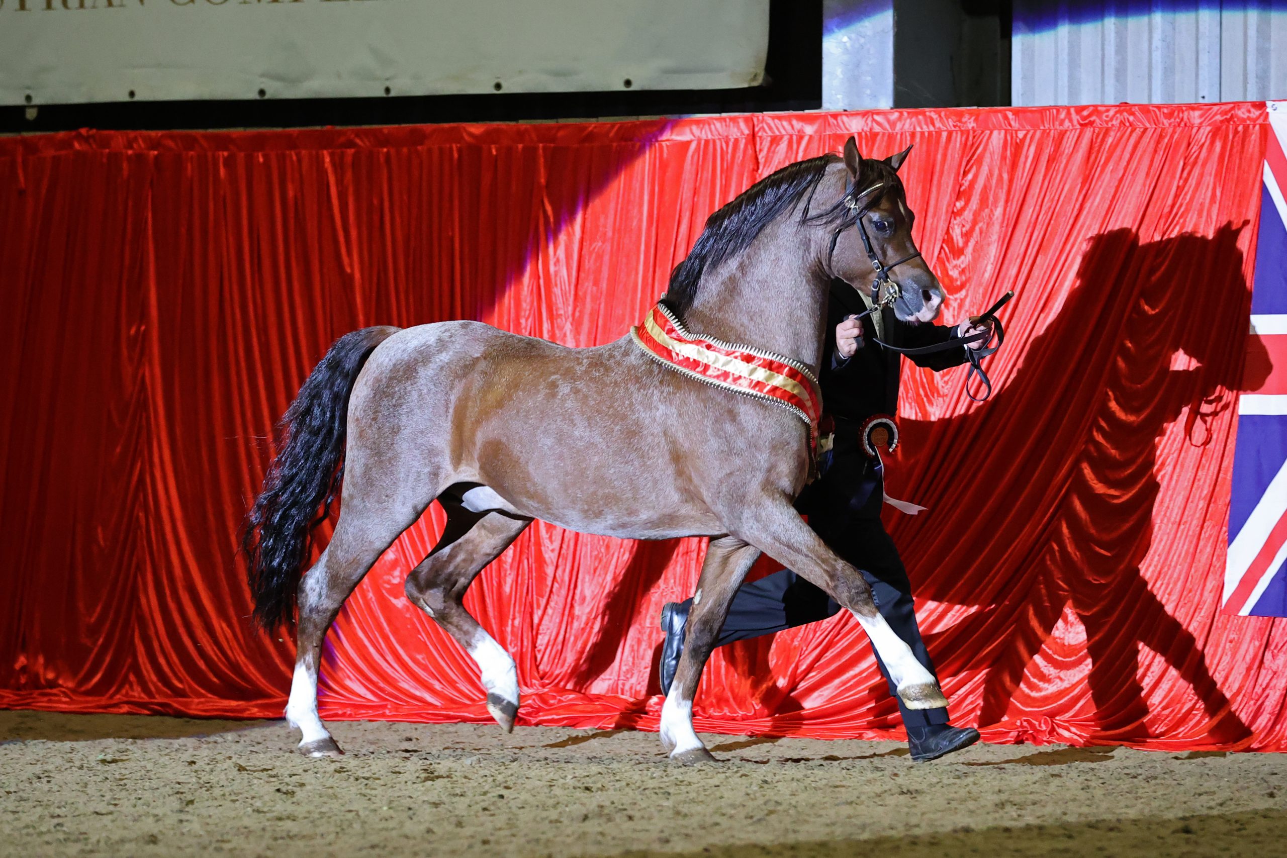 The Price Family Semi Final (HOYS)