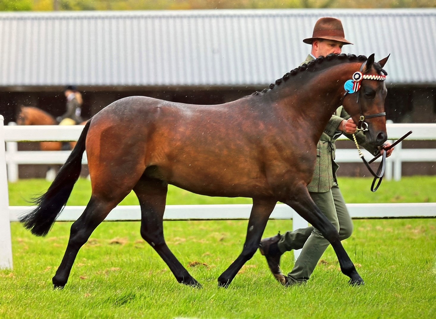 Romanno Tiny Dancer