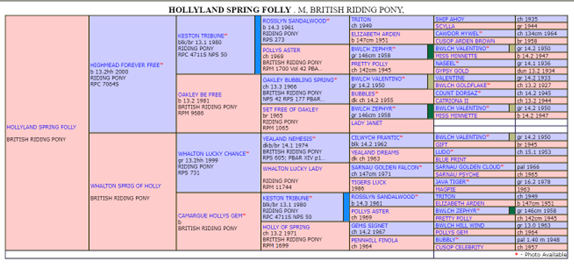 Hollyland Spring Folly